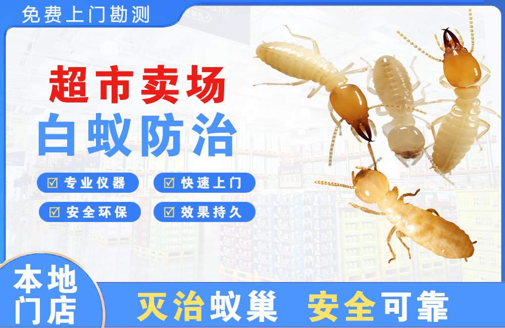 乐清超市卖场白蚁防治