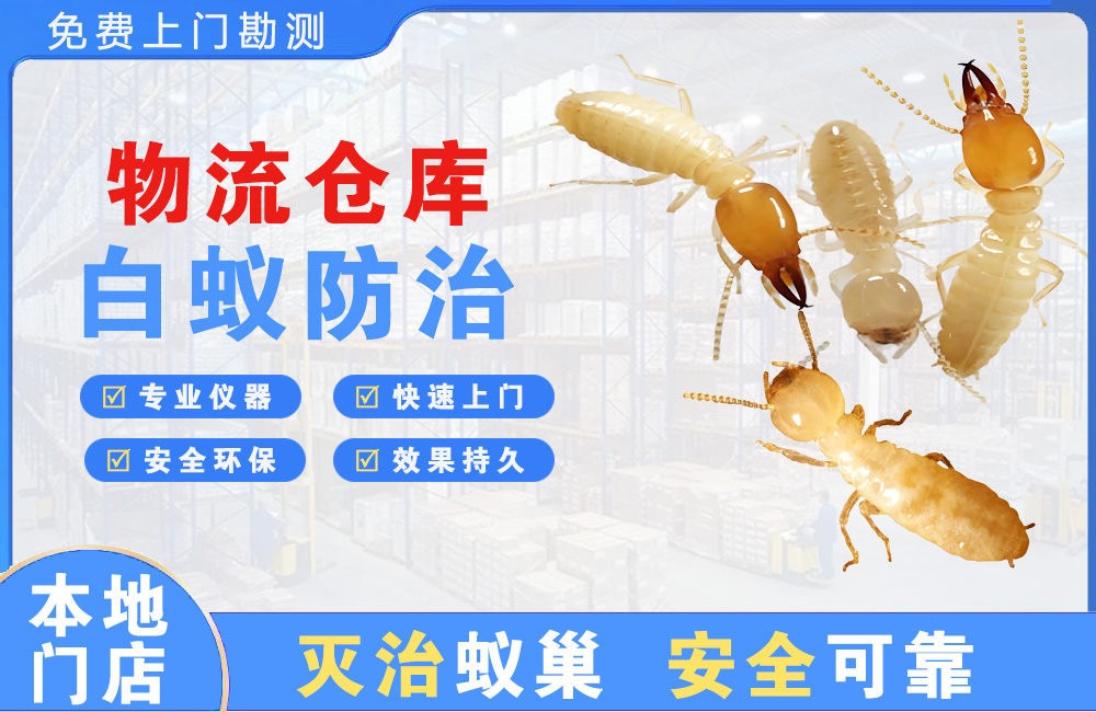 乐清物流仓库白蚁防治
