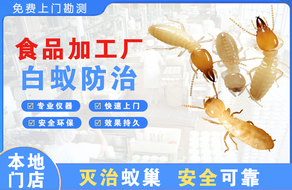 乐清食品加工厂白蚁防治