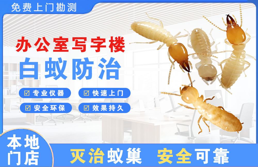 乐清办公室写字楼白蚁防治