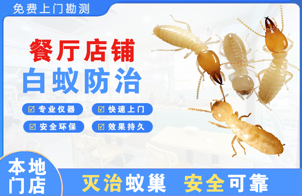 乐清餐厅店铺白蚁防治